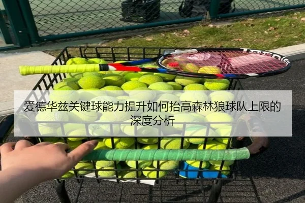 爱德华兹关键球能力提升如何抬高森林狼球队上限的深度分析